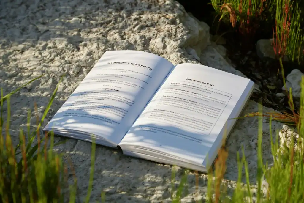 Open Book On A Rock (joonas Sild 0llg N4lbl0 Unsplash)